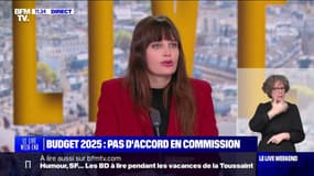 "Ce budget est catastrophique", estime Alma Dufour (LFI)