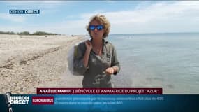 Sur la côte méditerranéenne, des citoyens ont décidé d'aller ramasser le plastique sur les plages
