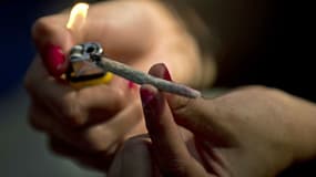 15% des jeunes de 14 à 24 ans auraient déjà consommé du cannabis