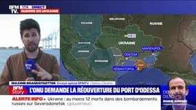 Ukraine: plusieurs millions de tonnes de céréales bloquées dans le port d'Odessa