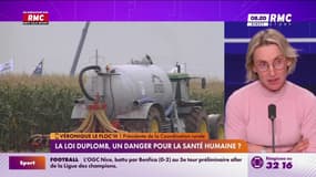 Loi Duplomb/Santé des agriculteurs : "Appliquer le principe de précaution jusqu’au bout"