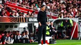 Roger Schmidt lors du quart de finale aller de la Ligue Europa entre Benfica et l'OM (2-1), le 11 avril 2024
