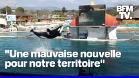 Marineland projette une fermeture définitive à compter du 5 janvier 2025 
