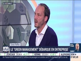 Green Reflex: le "green management" débarque en entreprise - 12/11
