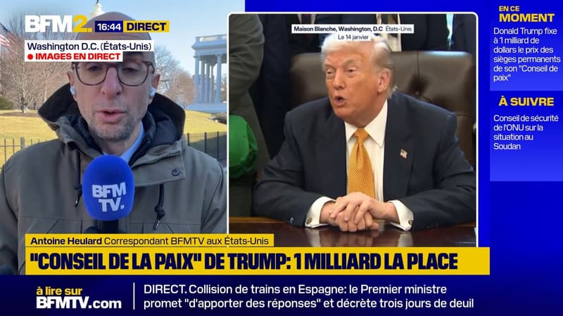 "Déterminé à dynamiter les institutions internationales comme l'ONU" : Donald Trump fixe à 1 milliard de dollars le prix des sièges permanents de son "Conseil de paix"