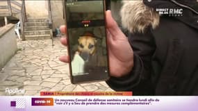 "On est dans un état de choc": l'incompréhension après une grave attaque de chiens dans l'Essonne