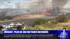 Hérault: les images des blocages sur l'A9, coupée à cause des incendies aux abords de l'autoroute