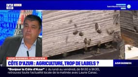 Azur Business du mardi 28 février  - Comment se porte l'agriculture azuréenne ? 
