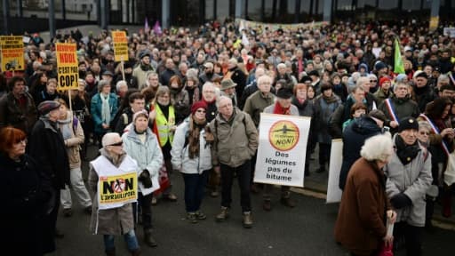 Manifestation contre le projet de l'aéroport de Notre-Dame-des-Landes, le 13 janvier 2016 à Nantes