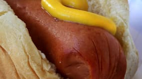 Un hot dog (image d'illustration)