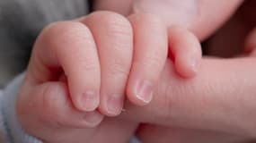 La main d'un nouveau-né prématuré tenant le doigt de sa mère dans un service de néonatalité dans un hôpital, le 1 mars 2023.