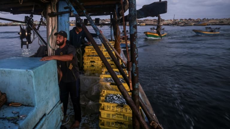 Le pêcheur palestinien Mohammed al-Nahl (c) et son convoi de barques rentre au port de Gaza après une nuit de pêche, le 22 septembre 2021