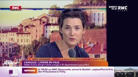 Sénéquier : "Les toits typiques de Paris, en zinc, peuvent monter à 89 °C"