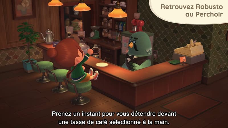 Robusto arrive dans Animal Crossing New Horizons. 