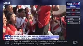 L'Argentine sans Di Maria au prochain match ? 