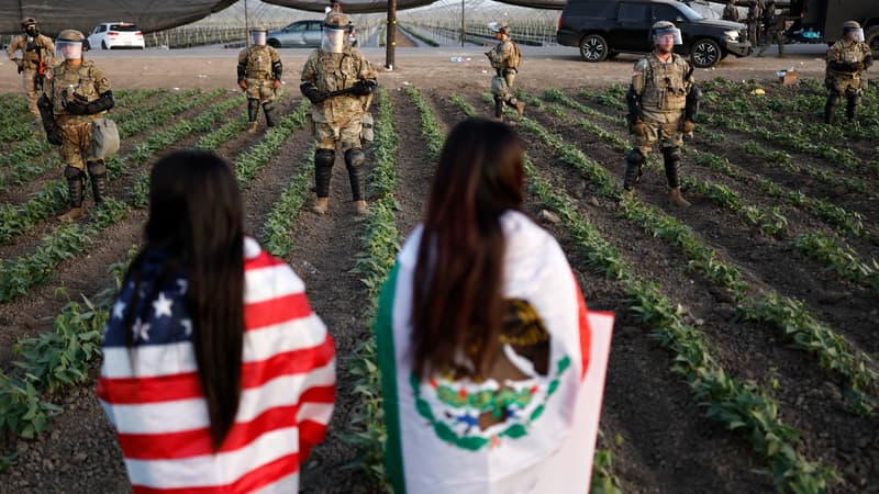 Californie: heurts entre manifestants et agents fédéraux de l'immigration sur des fermes légales de cannabis