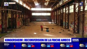 Haut-Rhin: reconversion de la friche Ameco à Kingersheim