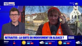 "De la fatigue mais pas de lassitude": retour sur la 10e journée de mobilisation contre la réforme des retraites en Alsace