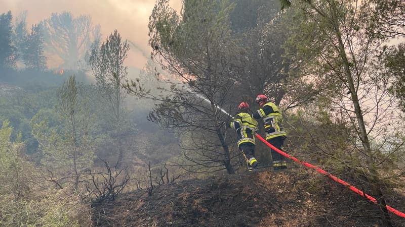 Lors de l'incendie de la Montagnette.