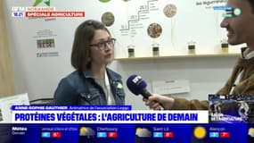 Salon de l'Agriculture: la production de protéines végétales en Normandie