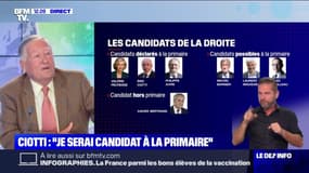 Primaire à droite: faut-il s'attendre à d'autres candidatures ?