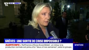 Marine Le Pen sur le prix des carburants: "Il y a un problème de spéculation (...) un certain nombre de stations ont perdu la raison"
