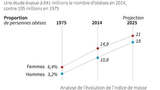 L'obésité dans le monde L'obésité dans le monde