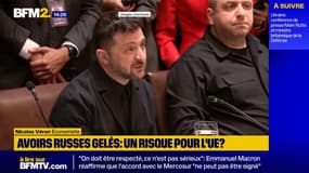 Utilisation des avoirs russes gelés: l'UE peut-elle avancer sans la Belgique ? 