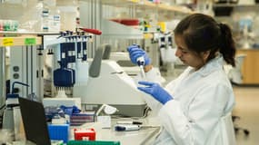 Une chercheuse prépare des séquences d'ADN au centre du Génome de New York, le 19 septembre 2013.