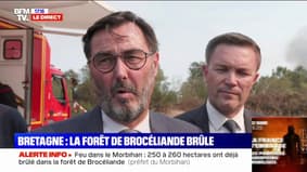 Incendio en el Bosque de Brocéliande: "Por ahora, el fuego está contenido en dos tercios."según el alcalde