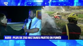 Incendie dans l'Aude: le feu est sur le point d'être maîtrisé - 03/07