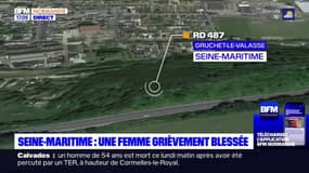 Seine-Maritime: une femme grièvement blessés sur la RD 487