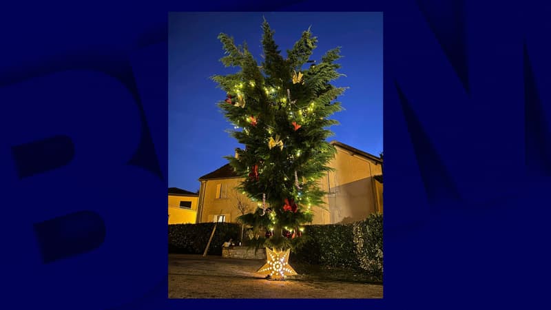 Dordogne: en soutien aux agriculteurs, une commune installe son sapin de Noël... à l'envers