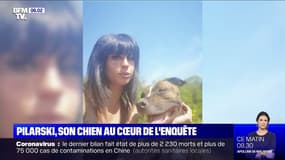 Affaire Pilarski: pourquoi son chien Curtis est au cœur de l'enquête ?