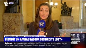 Pour Marie-Charlotte Garin, députée EELV-Nupes, l'ambassadeur LGBT+ devra être "indépendant du gouvernement", "une figure forte et légitime"