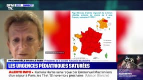 Épidémie de bronchiolite: pour la Pr Christèle Gras-Le Guen, "si les adultes se protègent, ils protègent les petits"