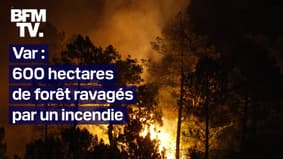 Le premier gros incendie de la saison ravage 600 hectares dans le Var