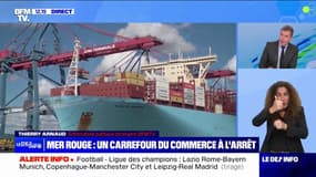 Attaques en mer Rouge: un carrefour du commerce à l'arrêt