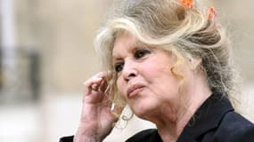 Brigitte Bardot, le 27 septembre 2007 à Paris.