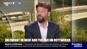 Loiret: laissé seul chez lui, un enfant de neuf ans tué par le rottweiler de la famille