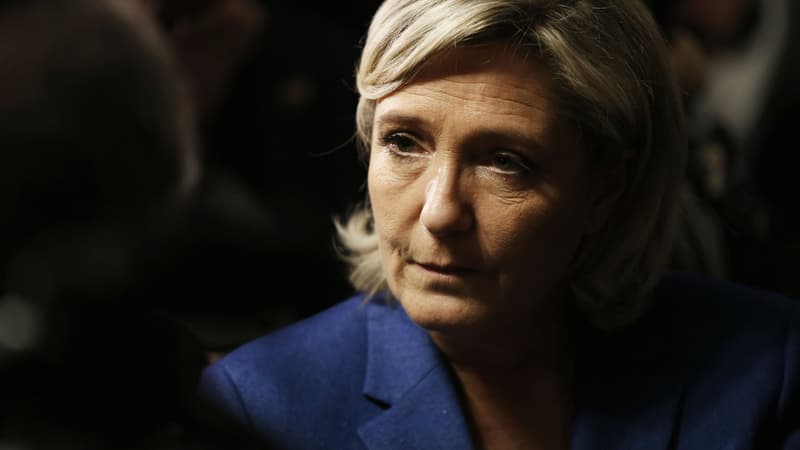 Marine Le Pen lance un "signal" à Henri Guaino et Nicolas Dupont-Aignan pour qu'ils la rejoignent. (Photo d'illustration)