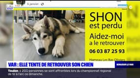 Var: elle tente de retrouver son chien depuis le 6 janvier dernier