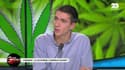 À la Une des GG: Cannabis, la Californie légalise, à quand la France ? - 04/01