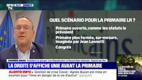 Pour Damien Abad, "il n'y aura qu'un seul candidat" de la droite à la présidentielle