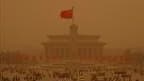 Des tonnes de sable venues des déserts de l'intérieur de la Chine se sont abattues samedi sur Pékin, recouvrant la capitale d'un voile jaune-orange. /Photo prise le 20 mars 2010/REUTERS/Grace Liang