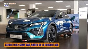 Expert d'ici :  Gemy Var, Sortie de la Peugeot 408