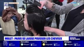 Paris: la coupe mulet en vogue dans les salons de la capitale