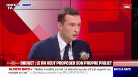 "Les allocations familiales doivent être réservées aux familles dont l'un des deux parents est de nationalité française", estime Jordan Bardella, président du Rassemblement national