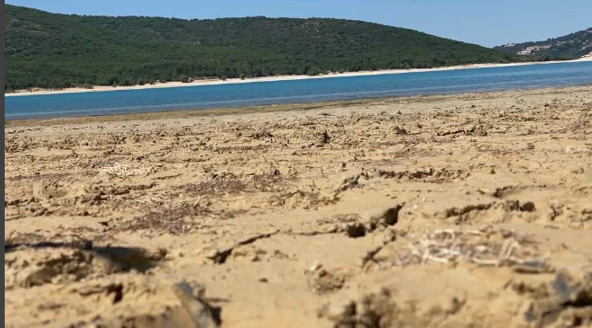placeholder video