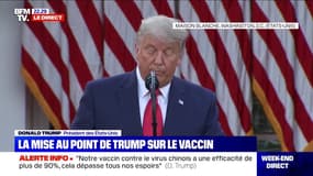 Donald Trump sur le vaccin anti-Covid de Pfizer: "Je pense que le vaccin sera approuvé très très prochainement"